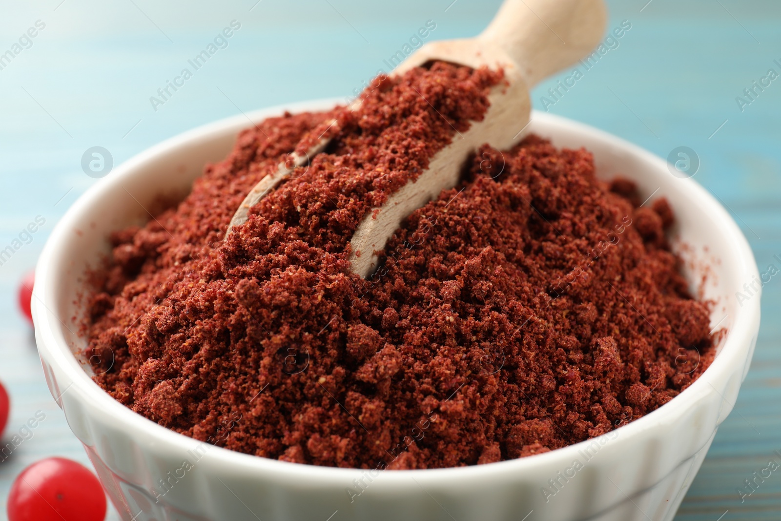 Photo of Cranberry powder in bowl and scoop on light blue table, closeup