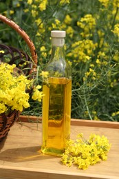Photo of Rapeseed oil in bottle and basket with flowers on tray outdoors, closeup