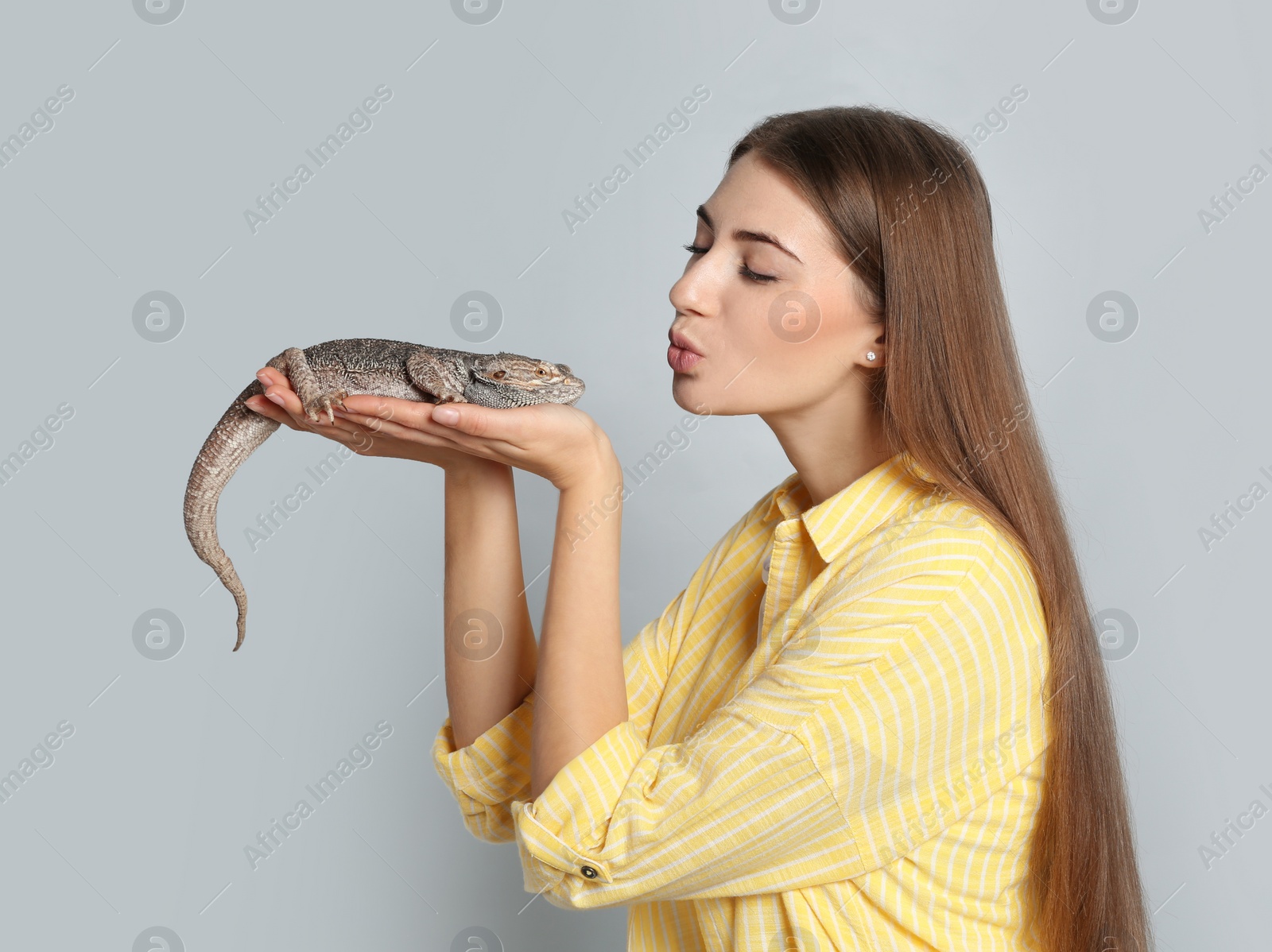 Photo of Woman holding bearded lizard on grey background. Exotic pet