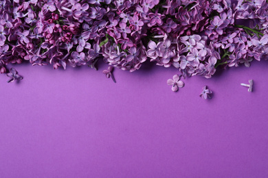 Photo of Beautiful lilac blossom on purple background, flat lay. Space for text