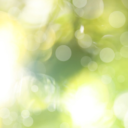 Image of Blurred view of abstract green background, bokeh effect. Springtime