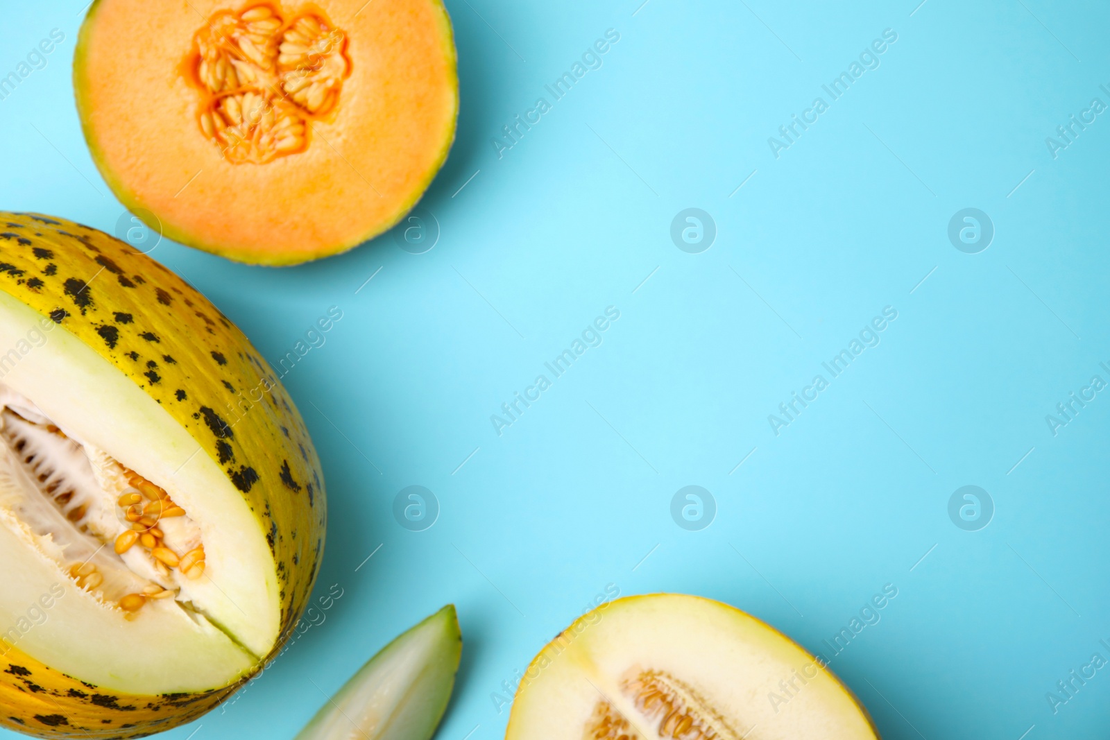 Tasty colorful ripe melons on light blue background, flat lay. Space for text Photo of Tasty colorful ripe melons on light blue background, flat lay. Space for text