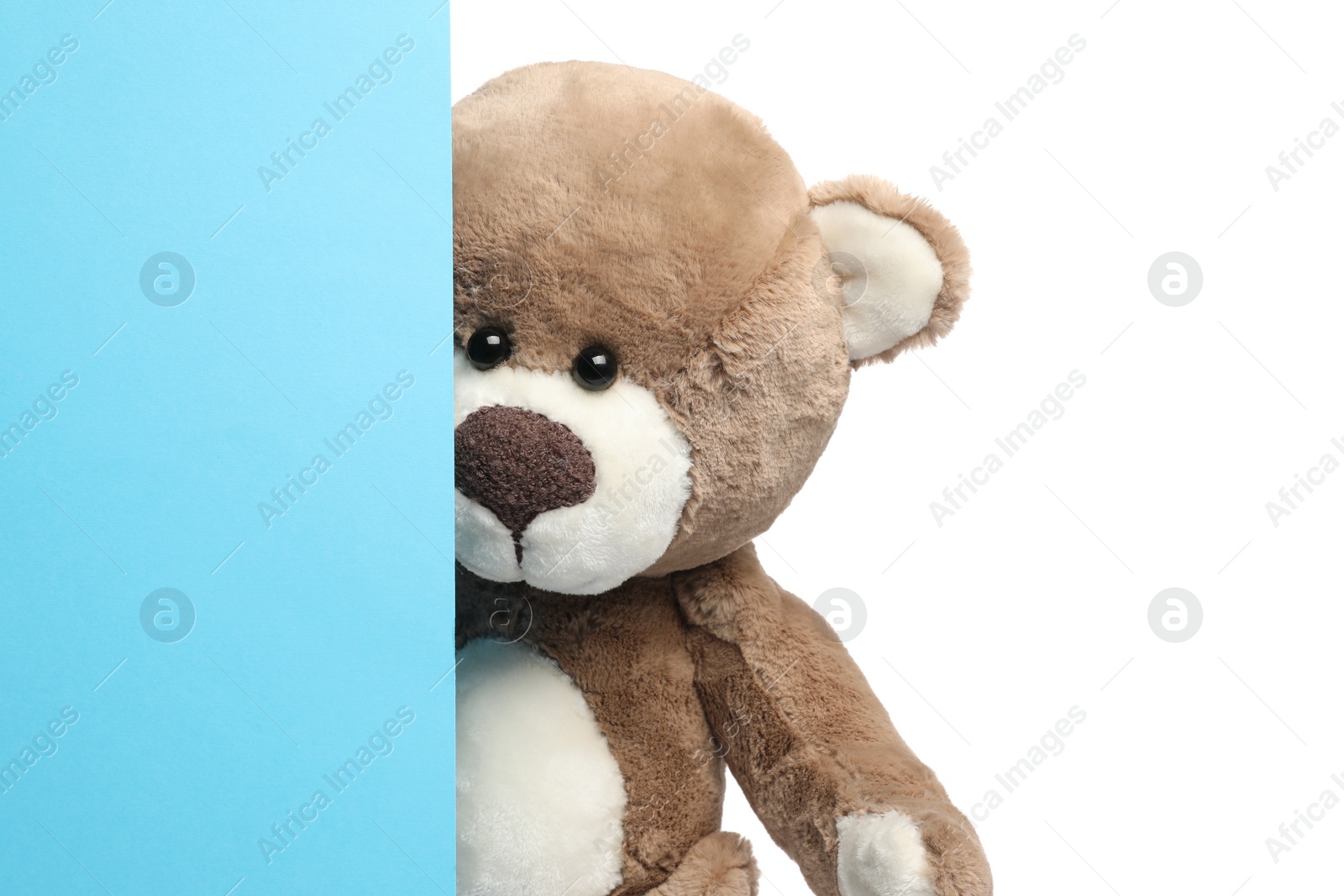 Photo of Cute teddy bear standing behind blank card isolated on white, space for text