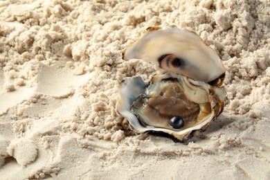 Photo of Open oyster with black pearl on sand, space for text