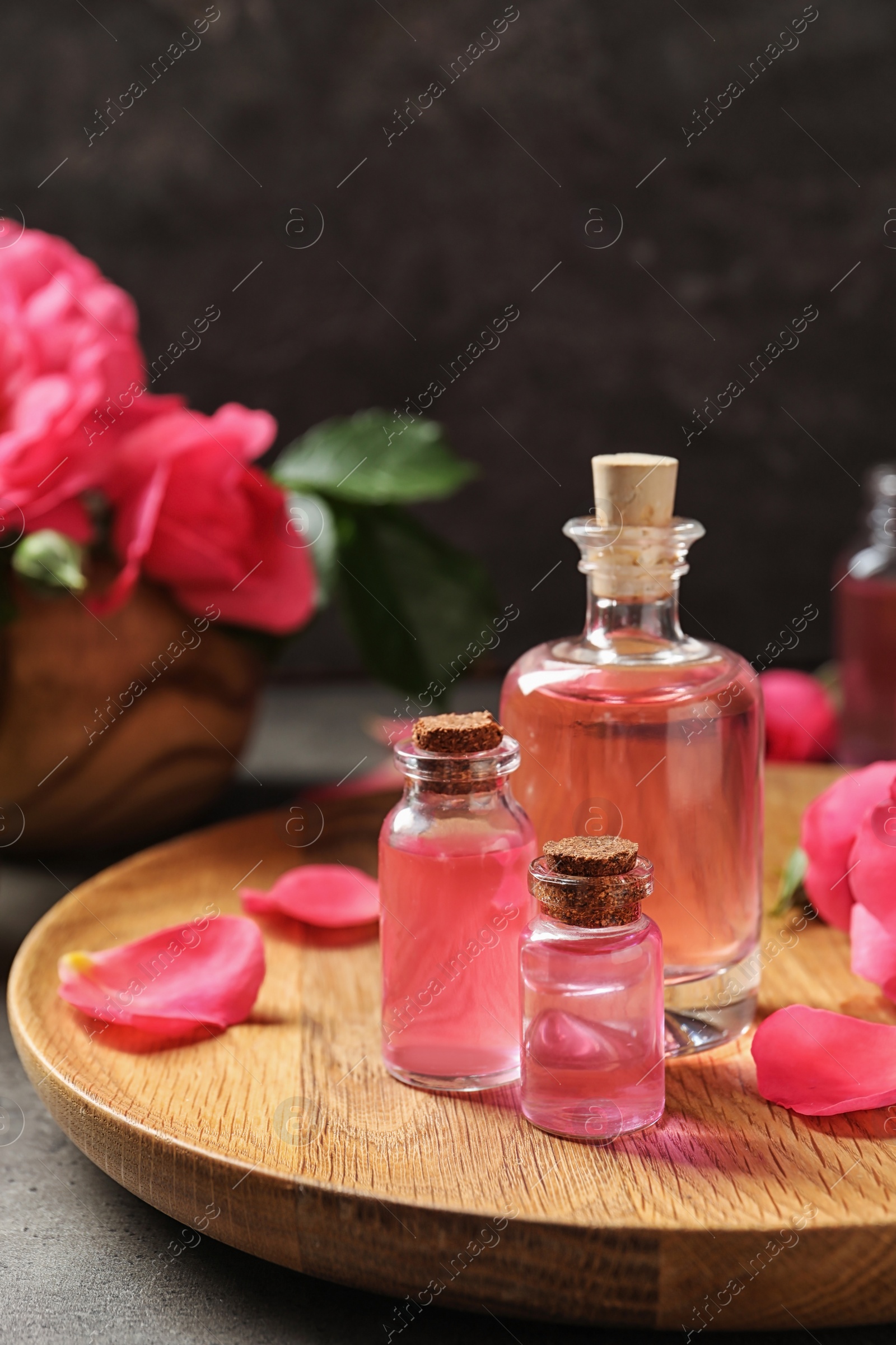 Photo of Wooden tray with bottles of rose essential oil and petals on table, space for text