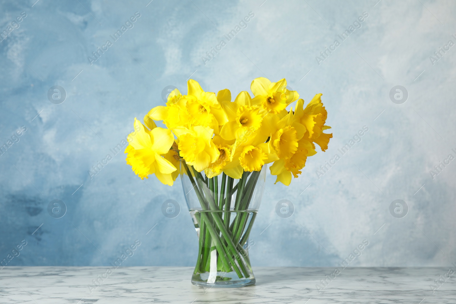 Photo of Bouquet of daffodils in vase on table against color background. Fresh spring flowers