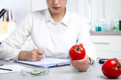Photo of Scientist with tomato at table in laboratory, closeup. Poison detection