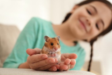 Photo of Little girl holding cute hamster at home, focus on hands
