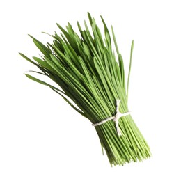 Bunch of fresh wheat grass sprouts isolated on white