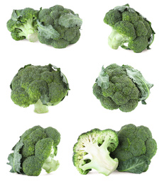 Image of Set of fresh green broccoli on white background 