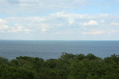 Photo of Picturesque view of green trees near tranquil sea