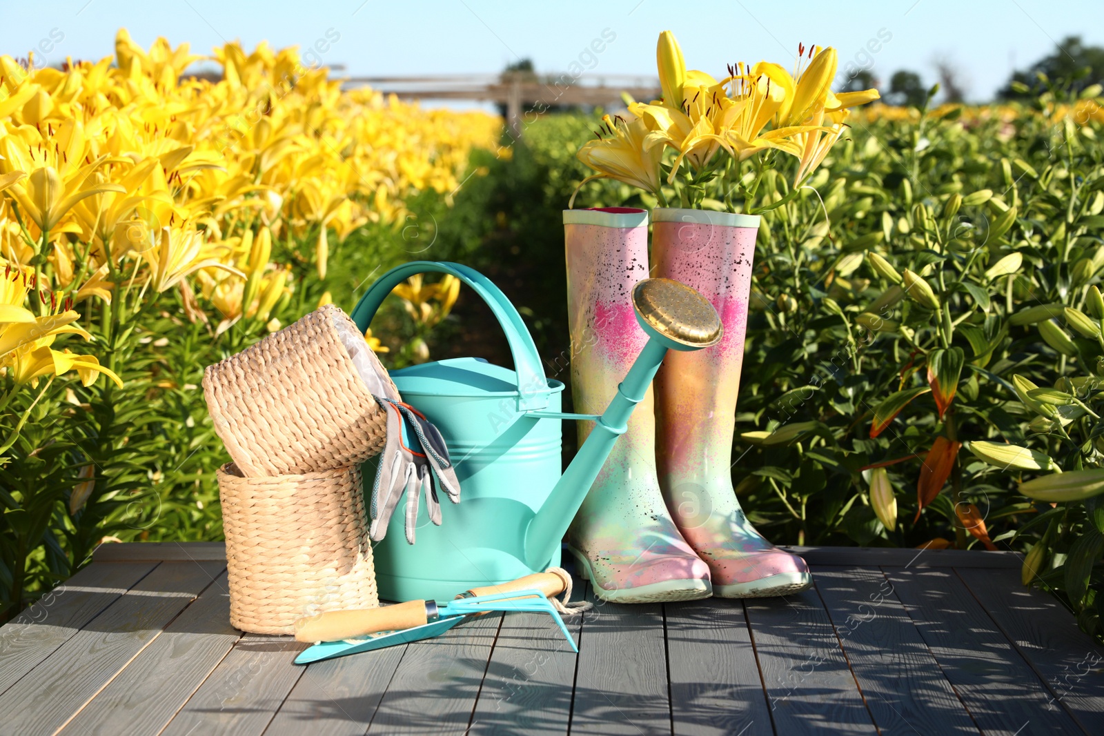 Photo of Rubber boots and gardening tools on grey table in lily field