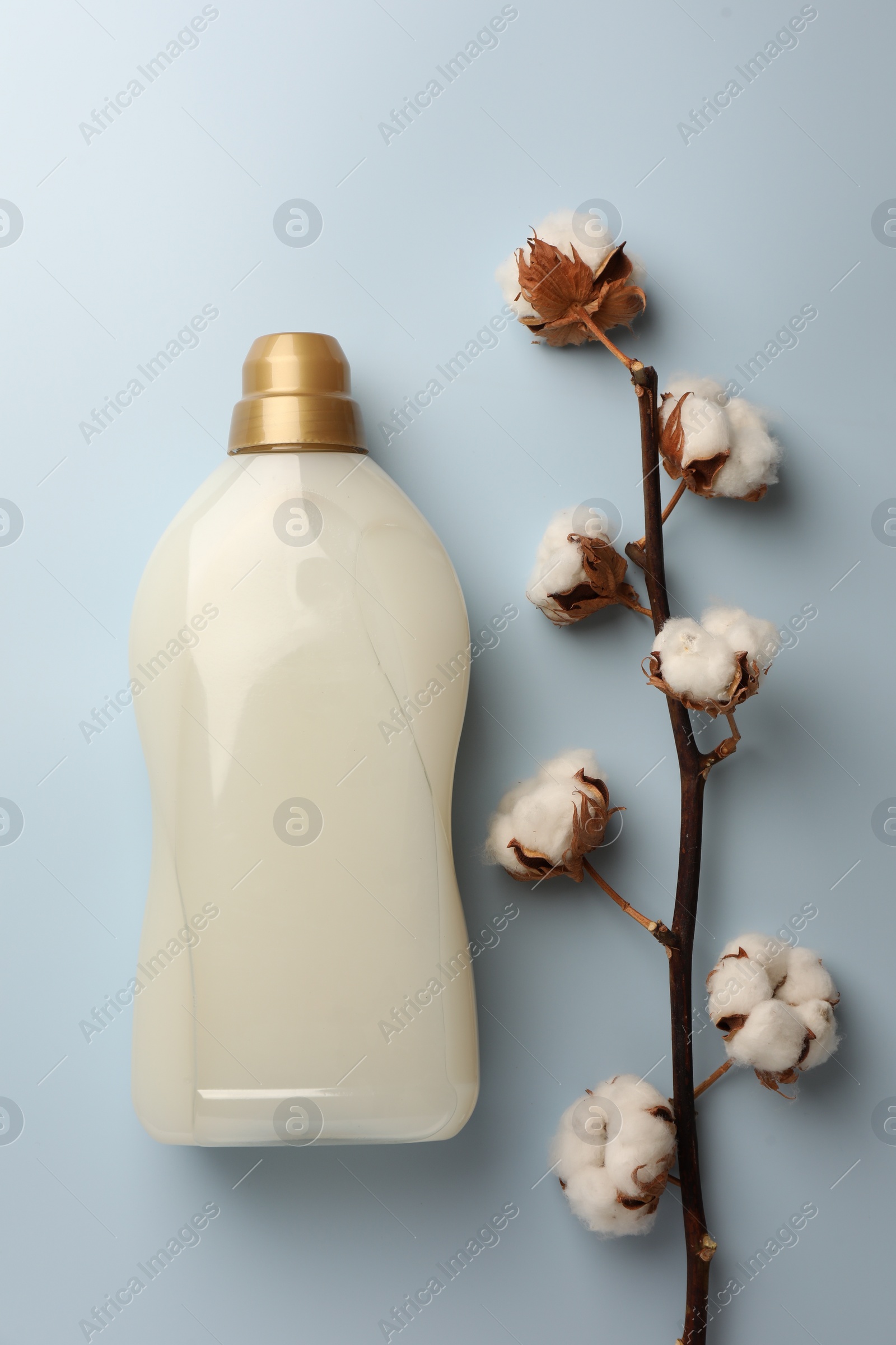 Bottle of fabric softener and branch with fluffy cotton flowers on light background, flat lay Photo of Bottle of fabric softener and branch with fluffy cotton flowers on light background, flat lay