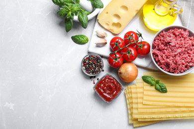 Fresh lasagna ingredients on light grey marble table, flat lay. Space for text