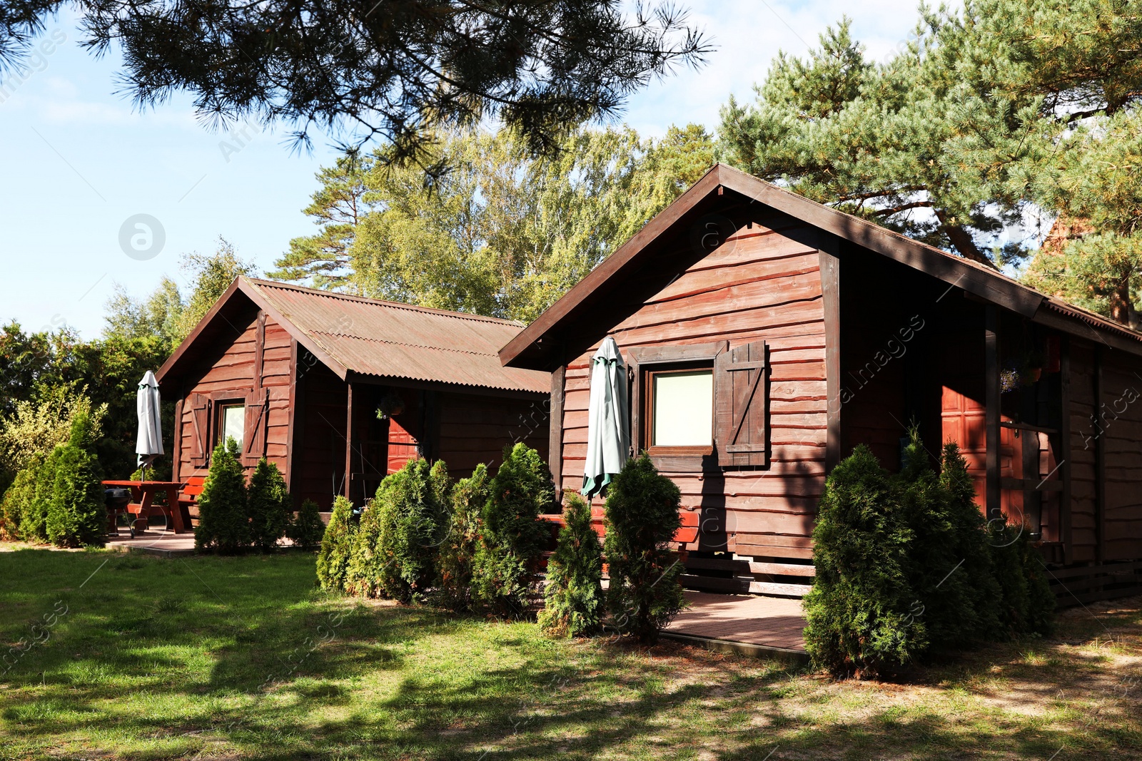 Photo of Cozy wooden houses surrounded by lush nature on sunny day