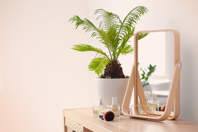 Photo of Small mirror and plant on table indoors. Idea for home design