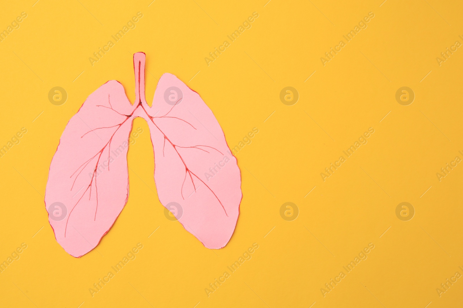 Photo of Paper cutout of human lungs on orange background, top view. Space for text