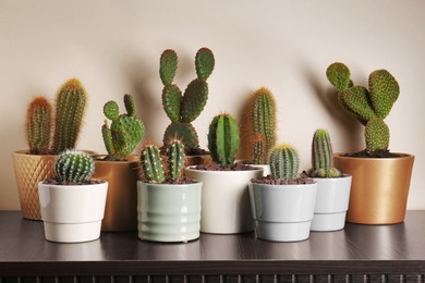 Many different beautiful cacti on wooden table