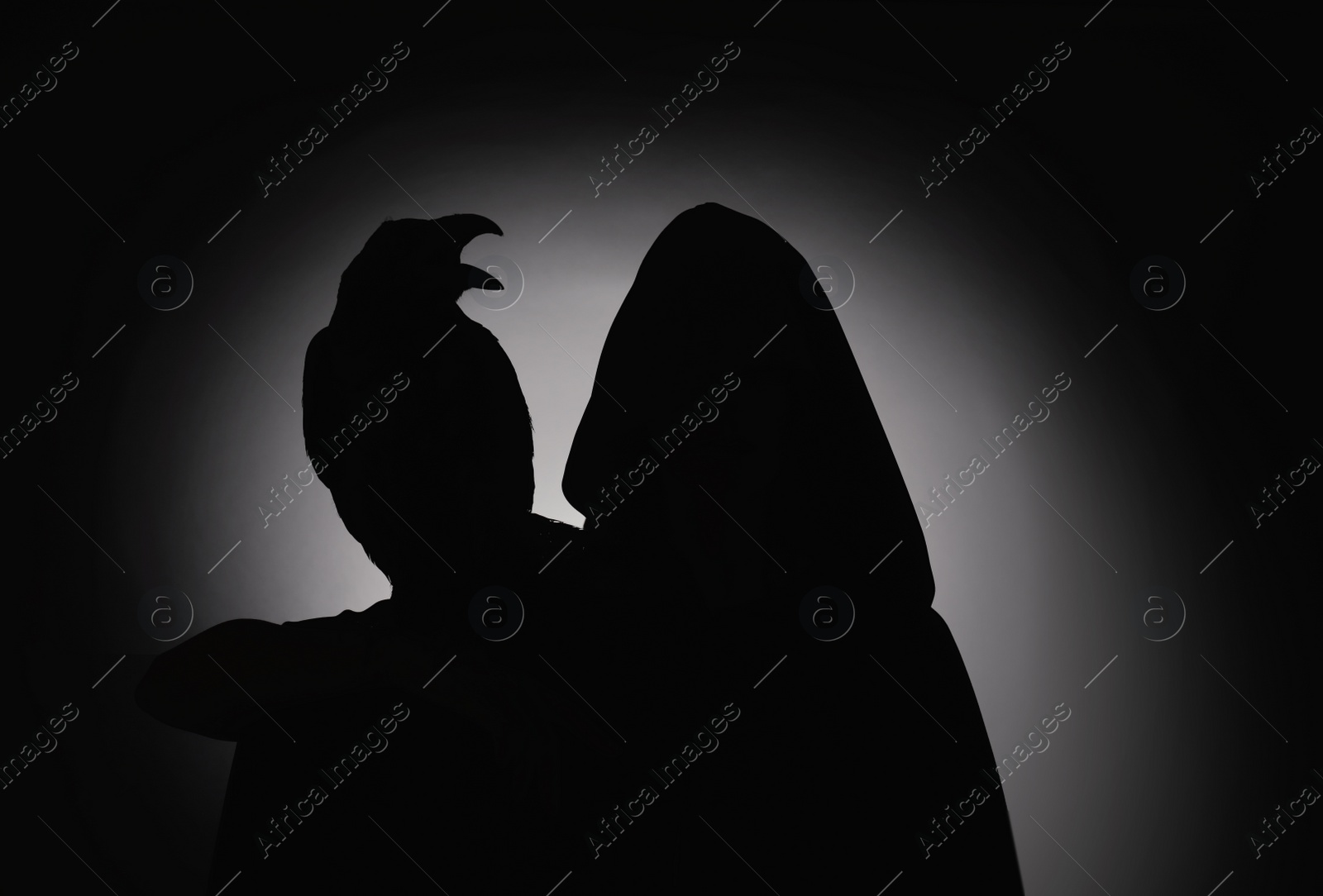 Photo of Silhouettes of mysterious witch and raven on dark background