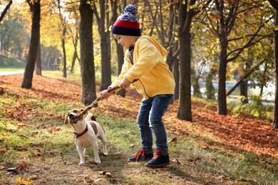 Photo of Cute little boy with his pet in autumn park