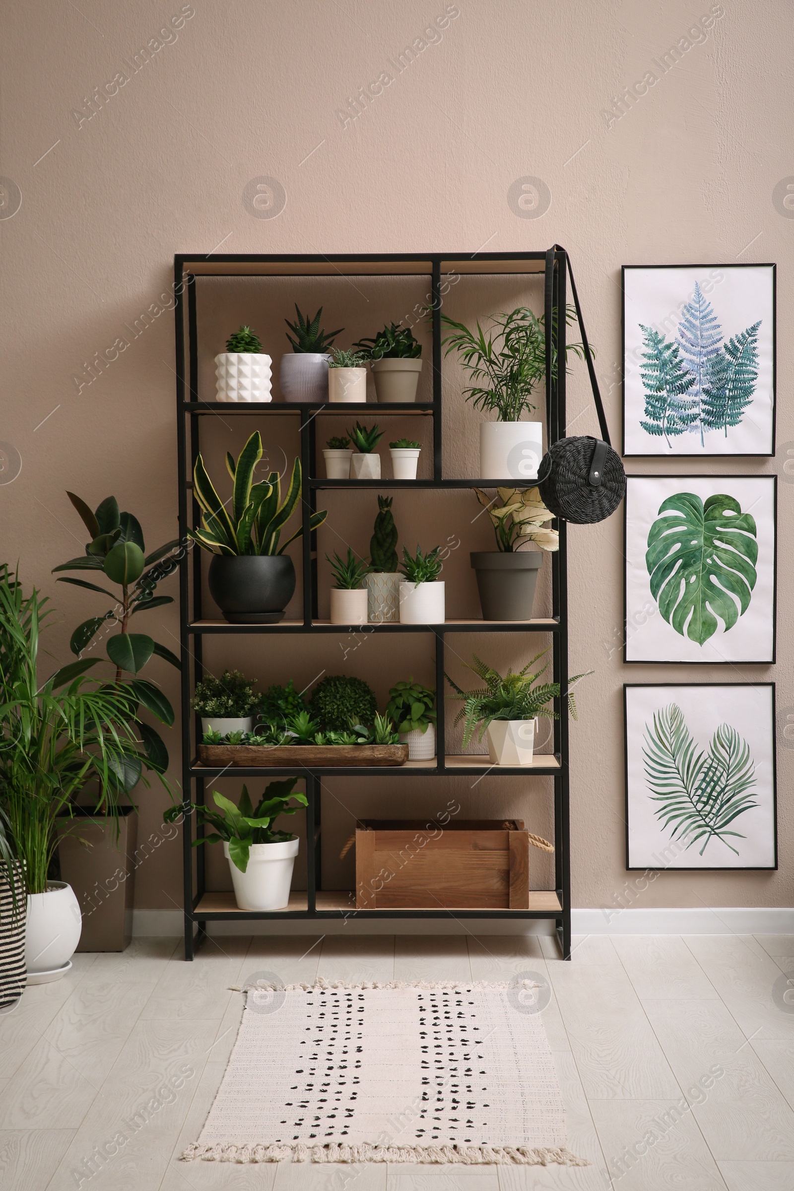 Photo of Stylish room interior with many beautiful houseplants