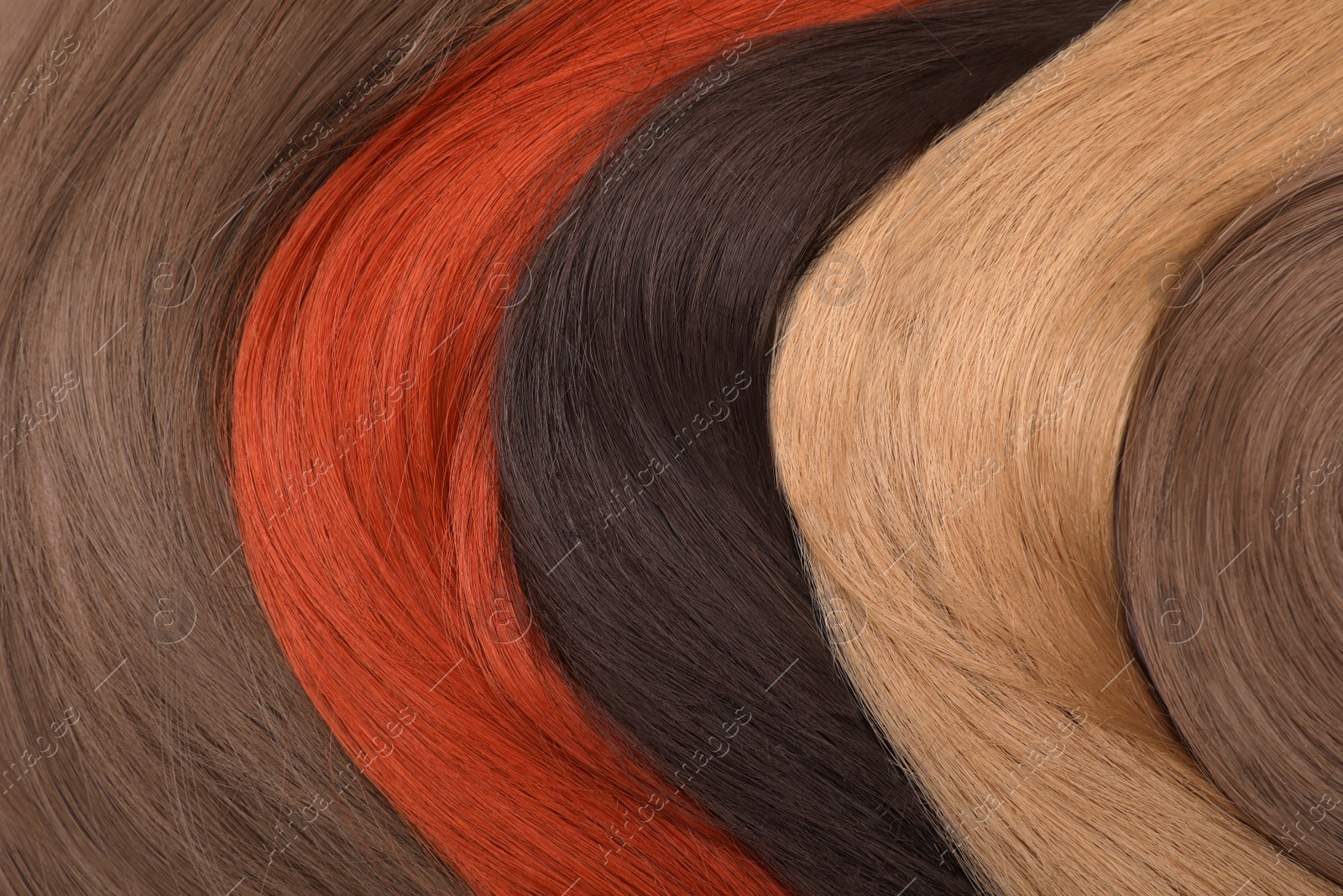 Photo of Strands of different hair as background, top view