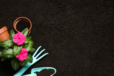 Flat lay composition with gardening tools and flower on soil, space for text