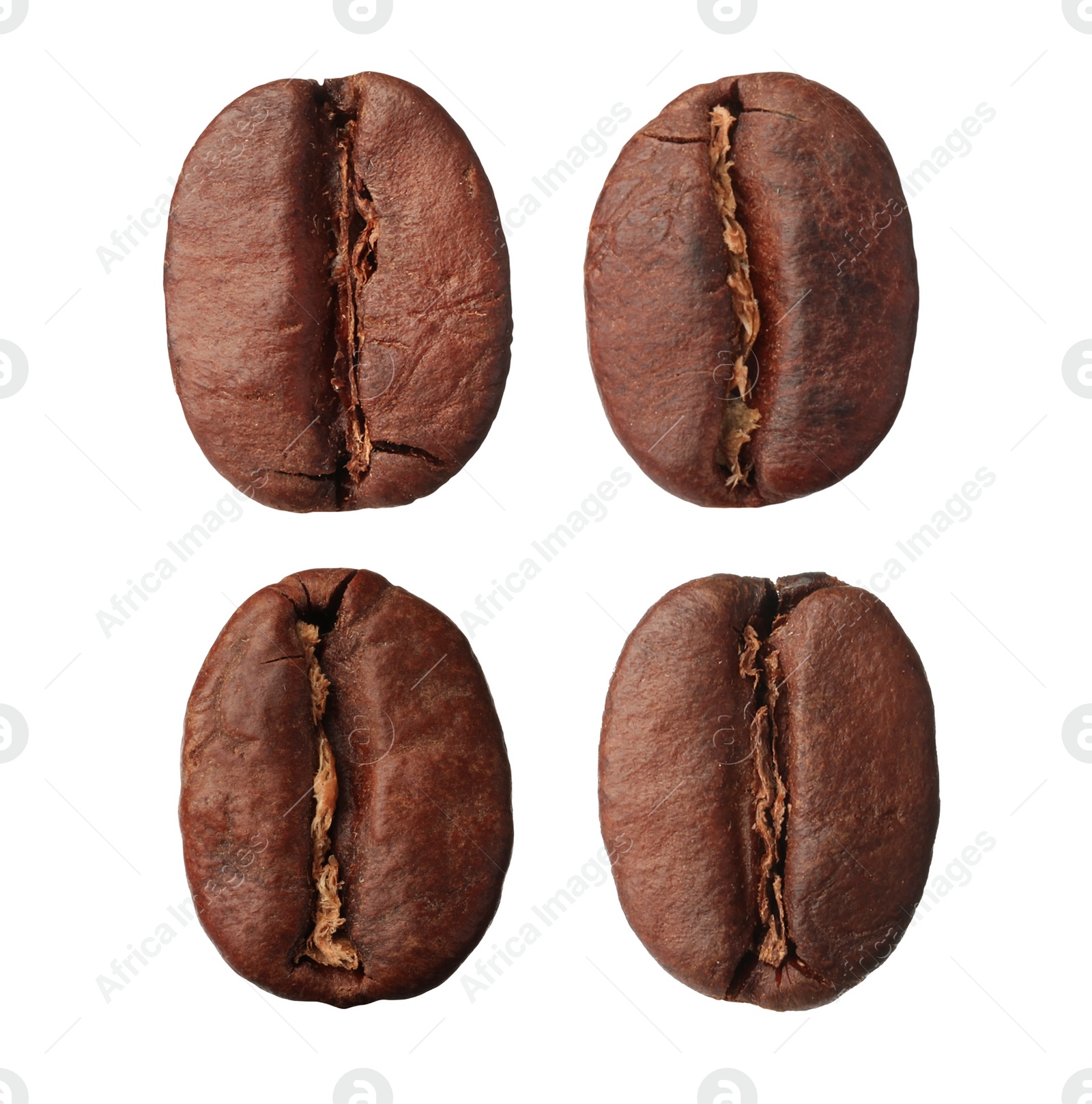 Image of Set with aromatic roasted coffee beans on white background