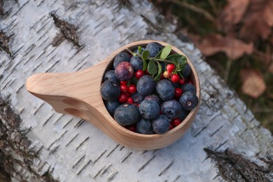 Wooden mug full of fresh ripe blueberries and lingonberries on log in forest, above view