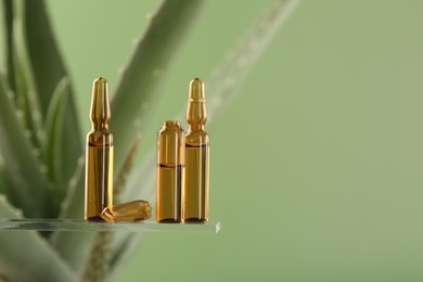 Photo of Skincare ampoules near aloe vera on light green background, closeup. Space for text