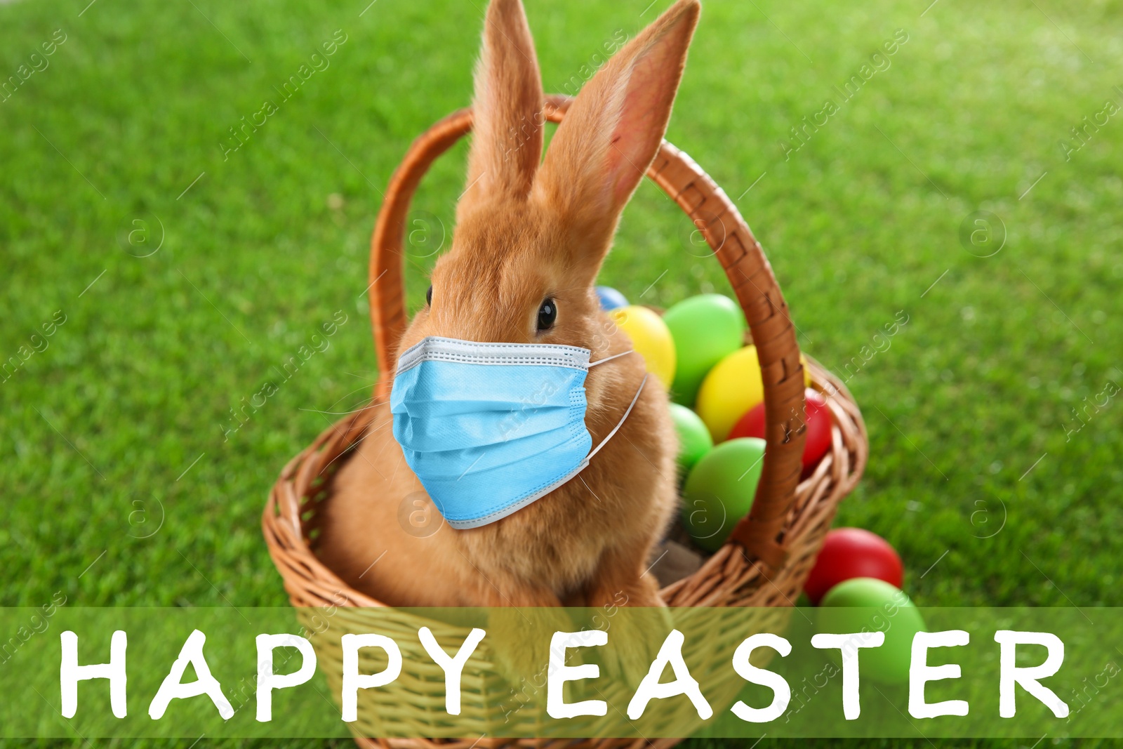 Image of Text Happy Easter and cute bunny in protective mask on green grass. Holiday during Covid-19 pandemic