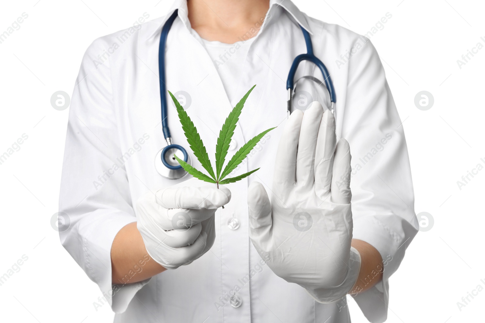 Photo of Doctor holding leaf of medical hemp on white background, closeup