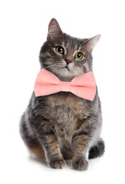 Image of Adorable tabby cat with pink bow tie on white background