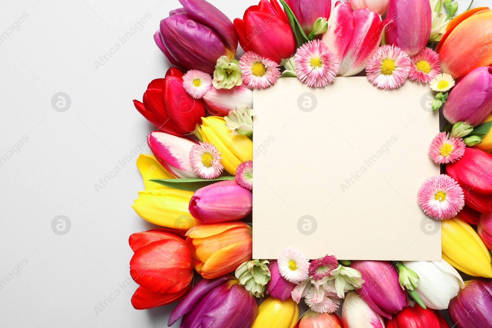 Photo of Beautiful composition with spring flowers and blank card on white background, top view. Space for text