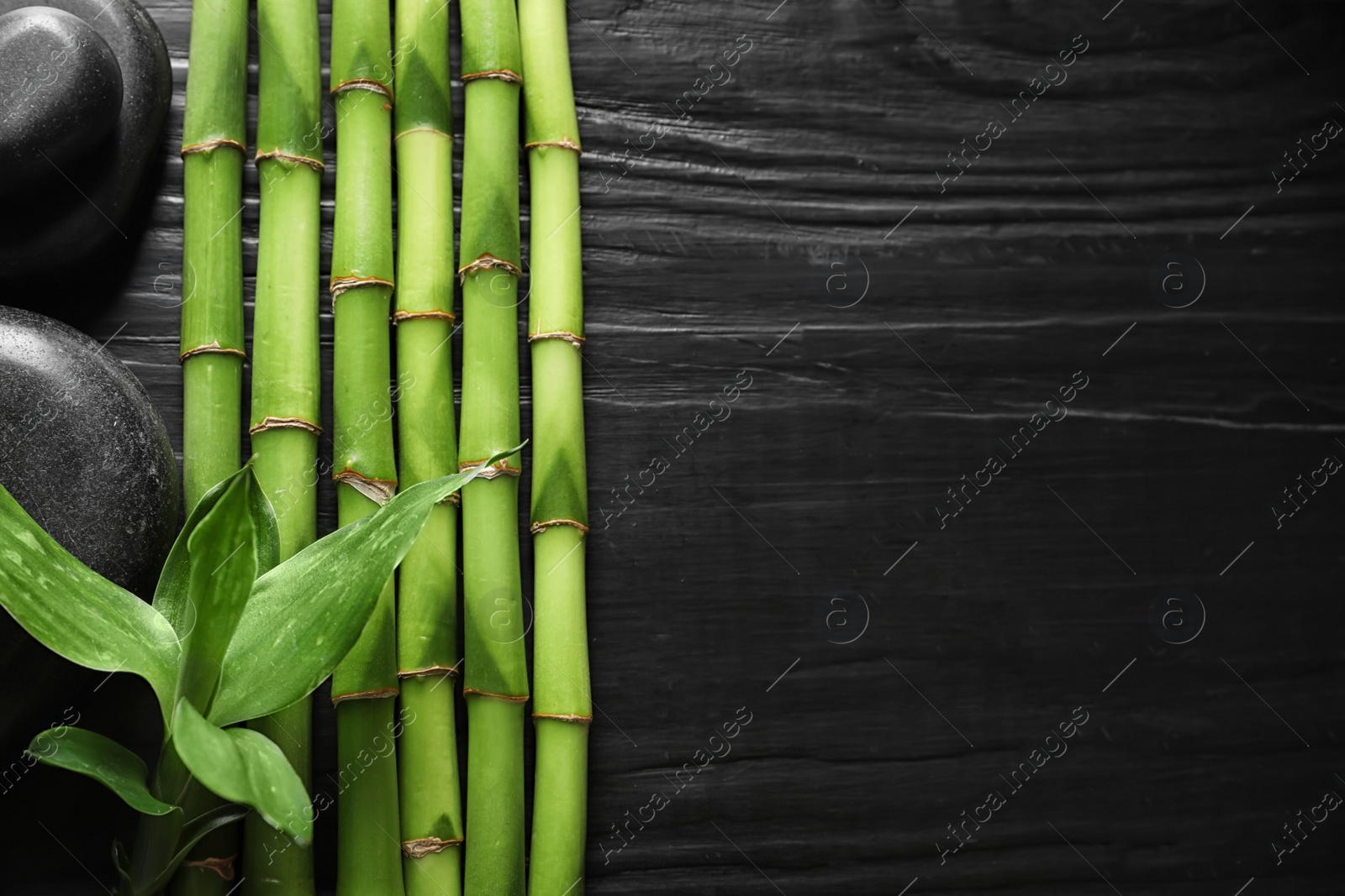 Photo of Flat lay composition with green bamboo stems on black wooden background. Space for text