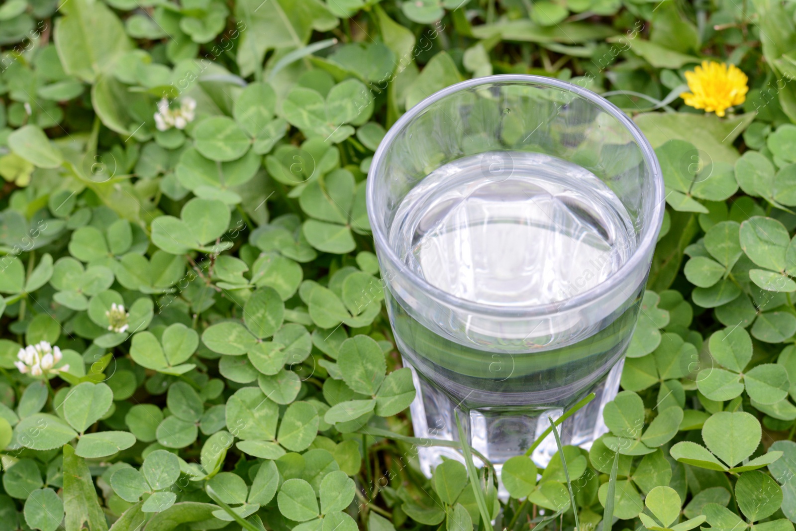 Photo of Glass with pure water in green grass outdoors, closeup. Space for text