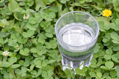 Photo of Glass with pure water in green grass outdoors, closeup. Space for text