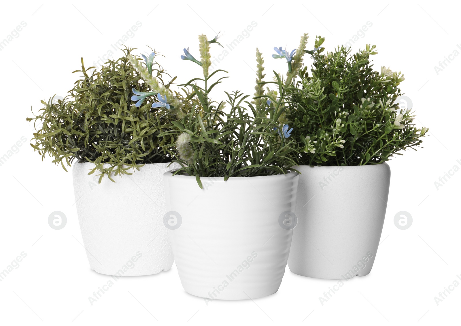 Photo of Artificial potted herbs on white background. Home decor