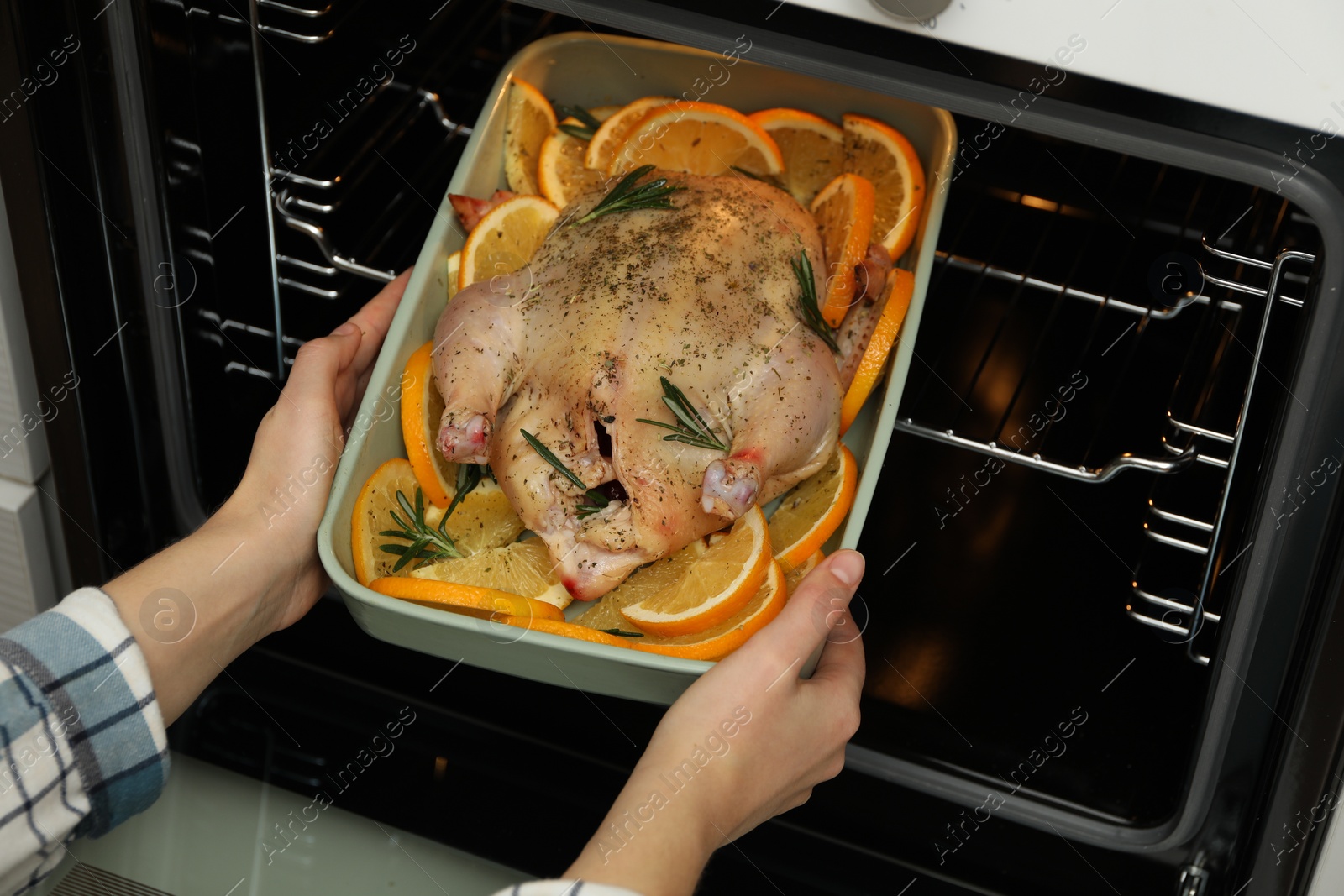 Photo of Woman putting chicken with orange slices into oven, closeup