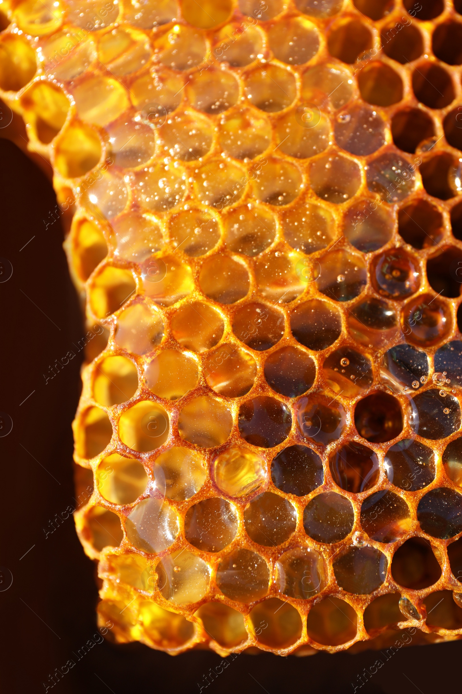 Photo of Uncapped filled honeycomb on dark background, closeup