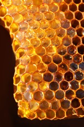 Uncapped filled honeycomb on dark background, closeup