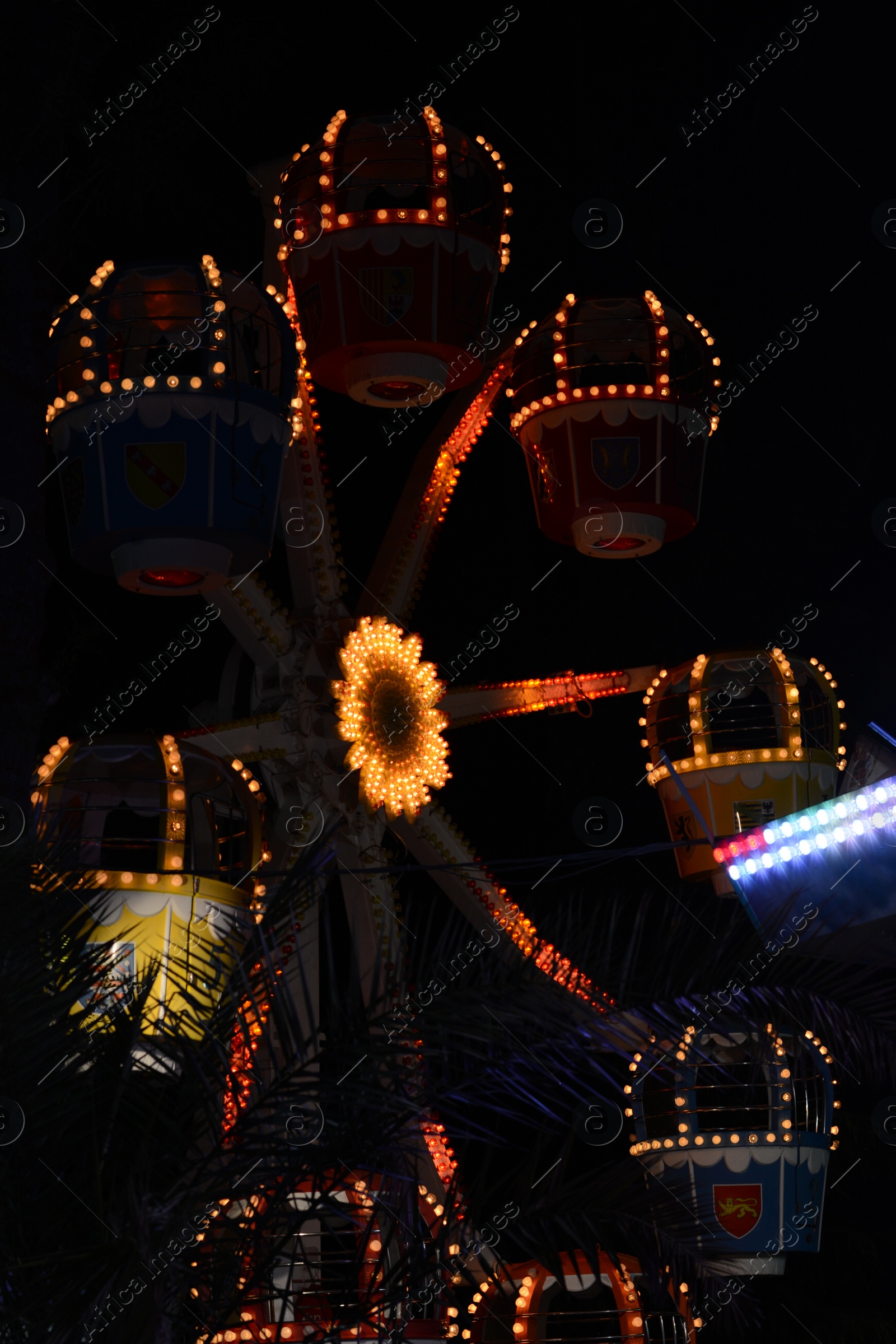 Photo of Illuminated observation wheel in amusement park at night