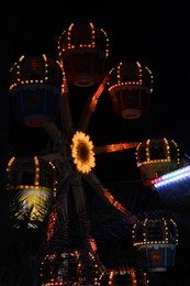 Illuminated observation wheel in amusement park at night