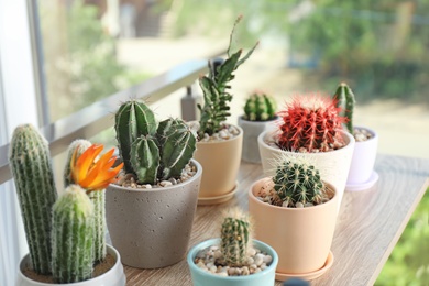 Photo of Different beautiful cacti in flowerpots on table