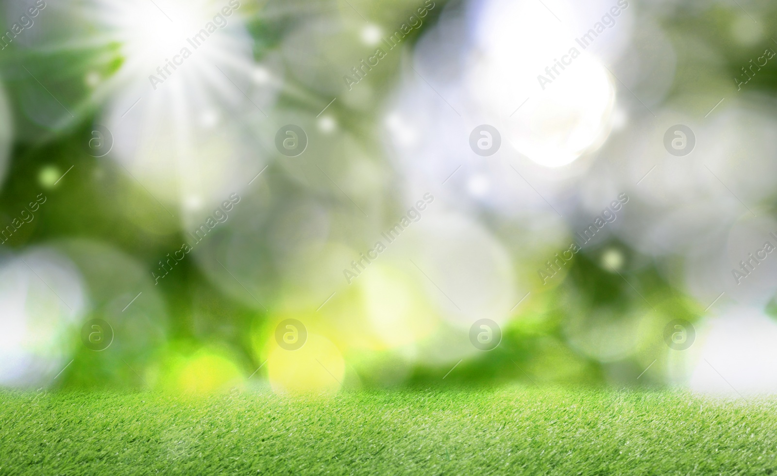 Image of Vibrant green grass outdoors on sunny day. Banner design