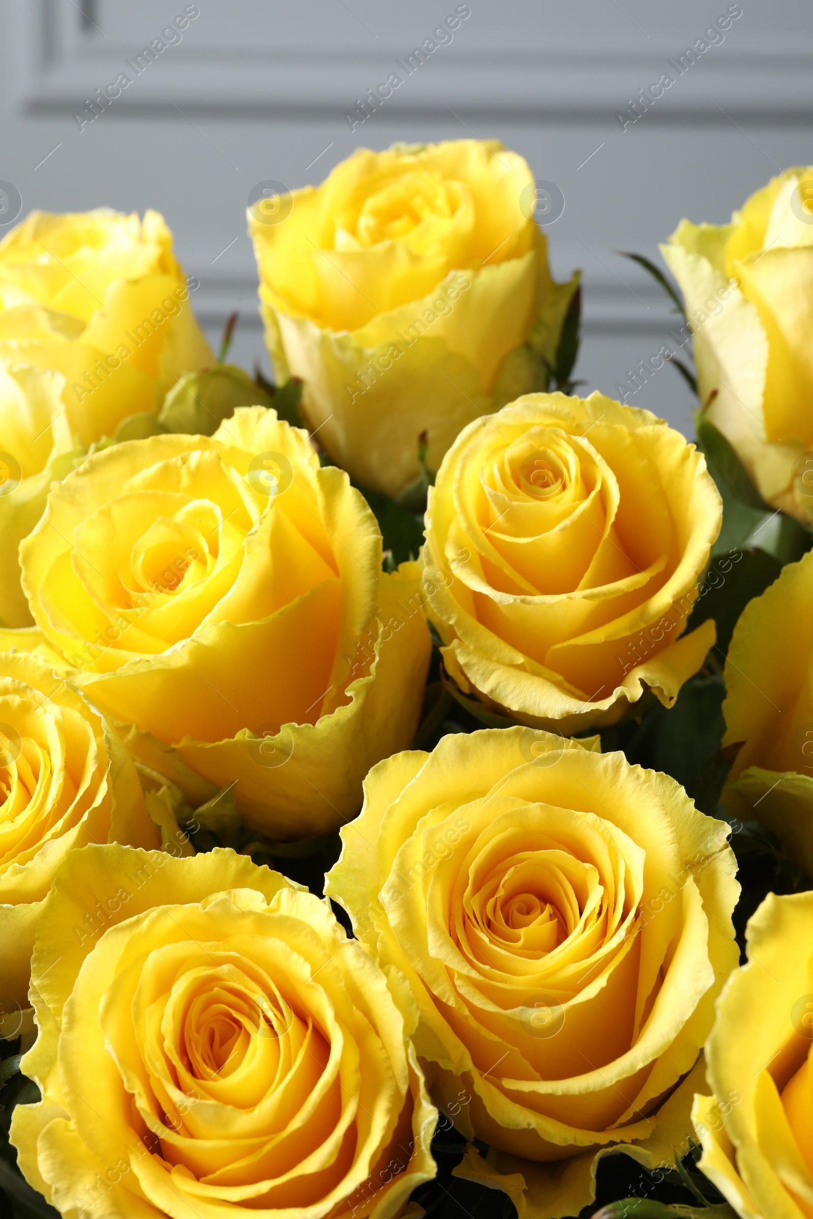 Photo of Beautiful bouquet of yellow roses near light wall, closeup