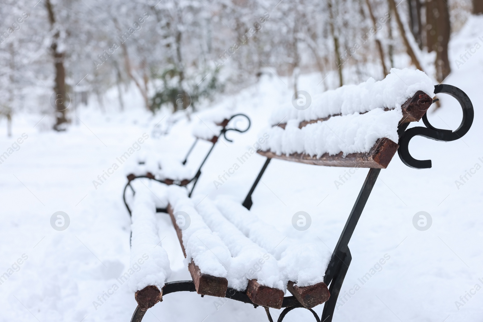 Photo of Benches covered with snow in winter park. Space for text