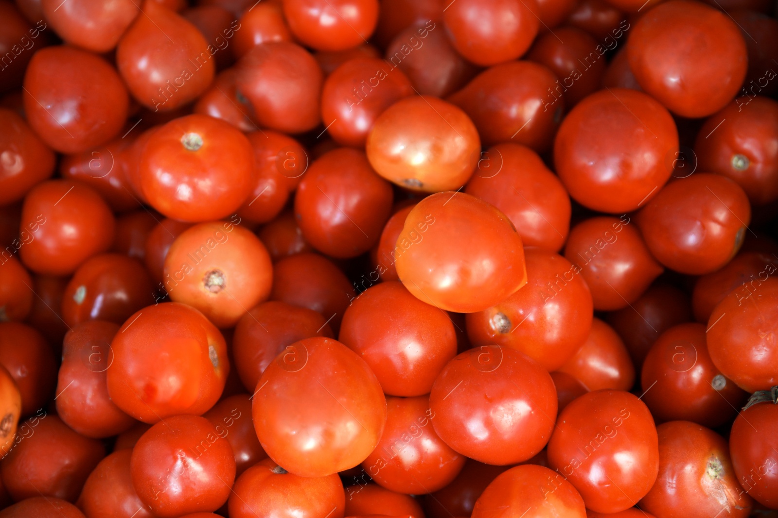 Photo of Pile of fresh ripe tomatoes as background, closeup