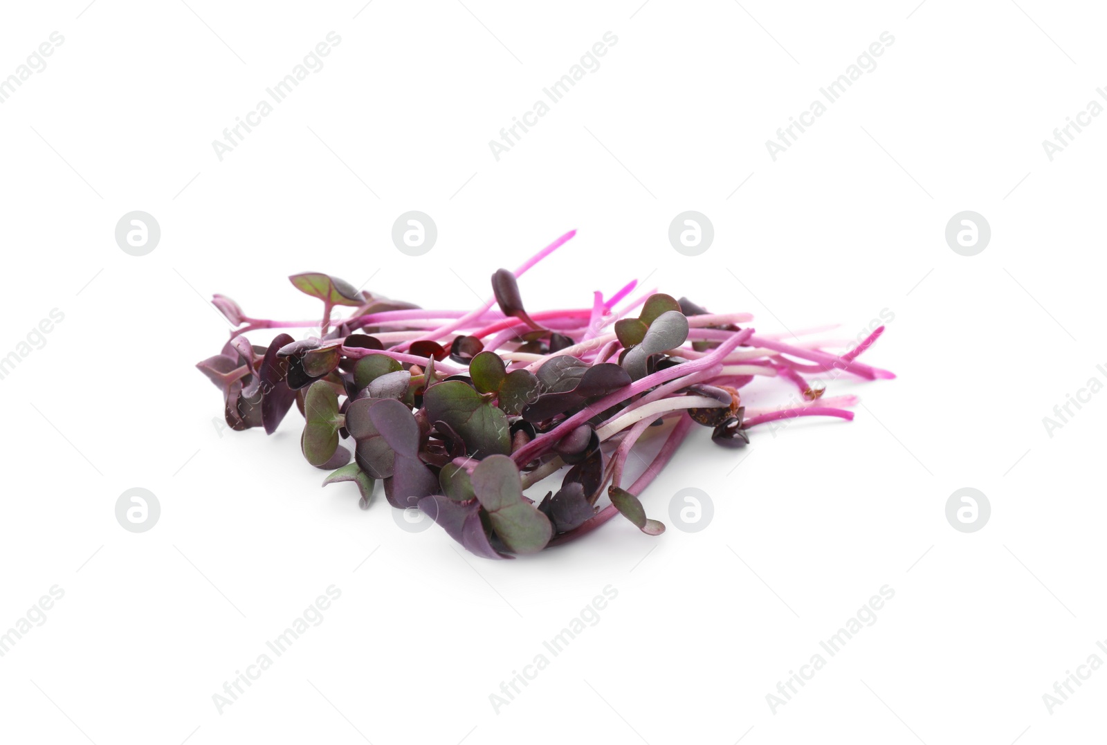 Photo of Fresh organic radish microgreens on white background