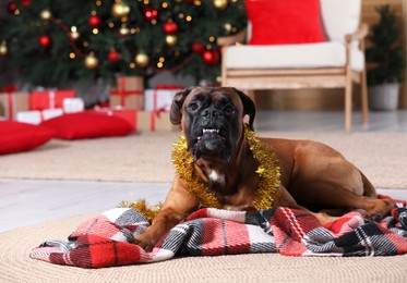 Cute dog with colorful tinsel in room decorated for Christmas